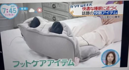 日本テレビ『ZIP！』キテルネ